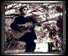 Shu Jun on the web